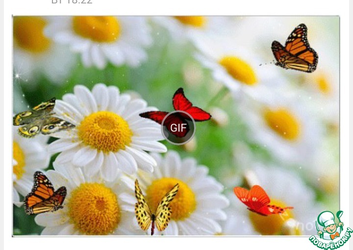 ���� ����� �������� ������������ � ���� �������� ������ ( ���������).