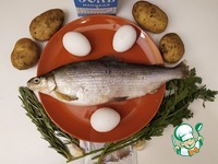 ����, ���������� � ���� �����������