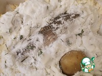 ����, ���������� � ���� �����������