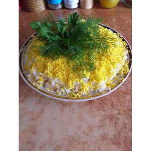 ����� "�������"