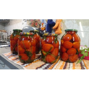 ������������ �������� � ����������