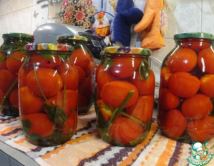 ������: ������������ �������� � ����������