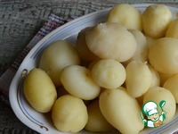 ��������� � ������������, �������� � �������� �����������