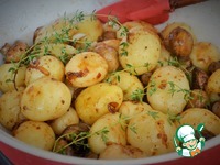 ��������� � ������������, �������� � �������� �����������