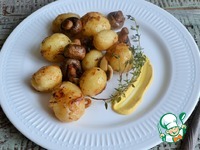 ��������� � ������������, �������� � �������� �����������