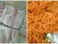 �������� � �������� � ������� �����������