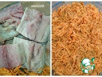 �������� � �������� � ������� �����������