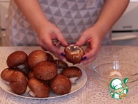 ����� ������������� �������� � ����� �����������