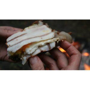 ���� �������