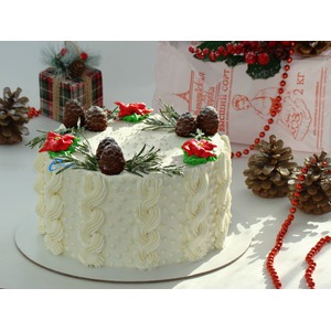 ���� " ���������� ����"