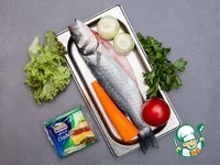 ���������� ����� � ����� � ������� �����������