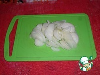 ������ � �����-�������� ����� �����������