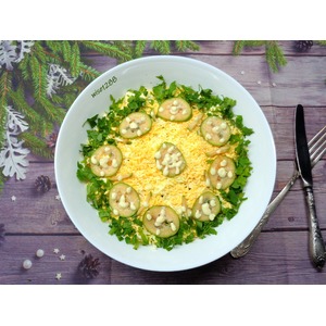 ����� �����������