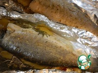 ����� � ������� ������������� ����������� �����������