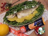 ����� � ������� ������������� ����������� �����������