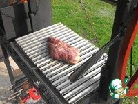 ���� "����� �-�� �����" �����������