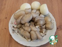 ������� "���������� ��������" � "Hochland" �����������