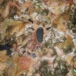 ������ � �������� �����������