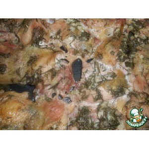 ������ � �������� �����������