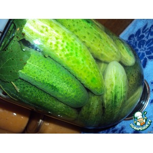 ������ "��� ������ ������"