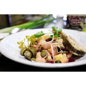 �������� 1904 ����