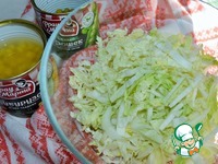 ����� "˸������ �����" �����������