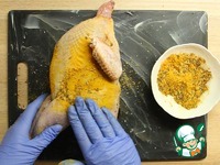 �����, ������������ � ���� �����������