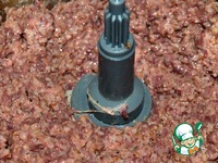 ������� ���������-�������� �����������