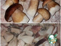 ����� �� � ����� �����������