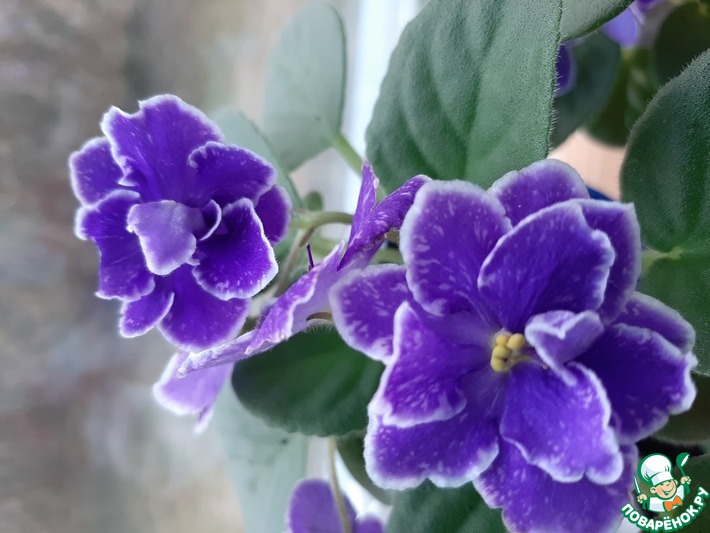 ��� �����, ��� ������