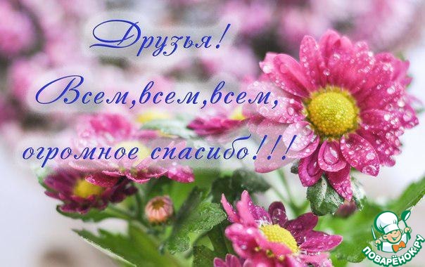 ����-����-���� �������� �������!