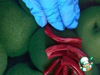 ������������� ������� �����������