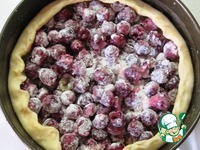 ����� � ����������� � ������ �����������