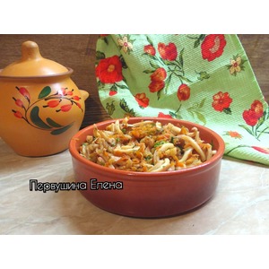 �������� � �������� � ������ �����