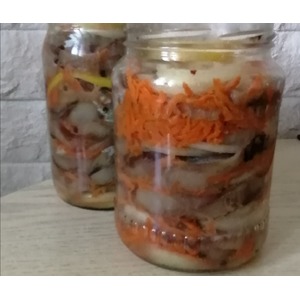 ������������ ������ ��-����������