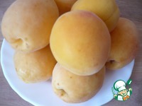 ������ ������-������� �� ����-����� �����������