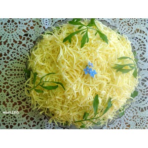 ����� ������� ����������