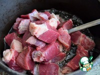 "�������" ���� � ��������� �����������