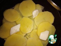 ������������ ������ � ������ ������� �����������