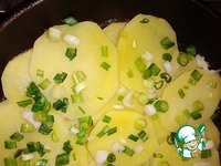 ������������ ������ � ������ ������� �����������