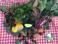 �������-���������� �������� "���������" �����������