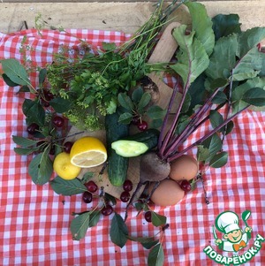 Вишнёво-свекольный холодник "Полонечка"