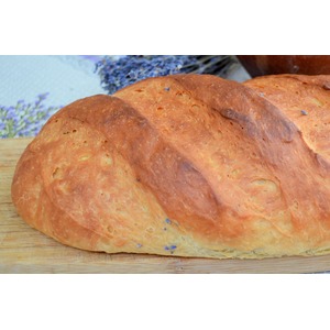 ��������� ���� � ��������