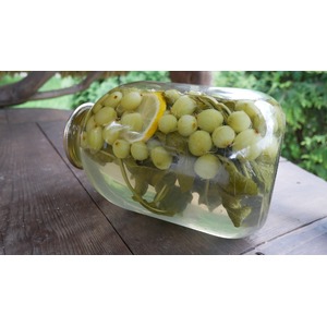 ������ ��� ������������ "������"