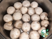 ������������ �������� "��������� �� ����������" �����������