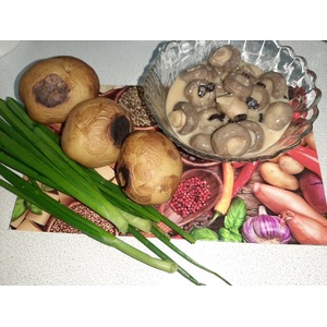 ������������ �������� "��������� �� ����������"