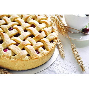 ����� � ������ �� ��������� �����