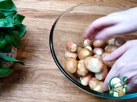 ������ ������ � ���������� � ������� �����������