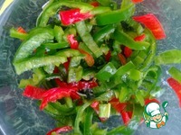 ������ �������� � ����� �����������