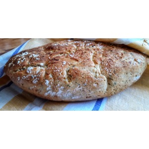 ���� �� �������